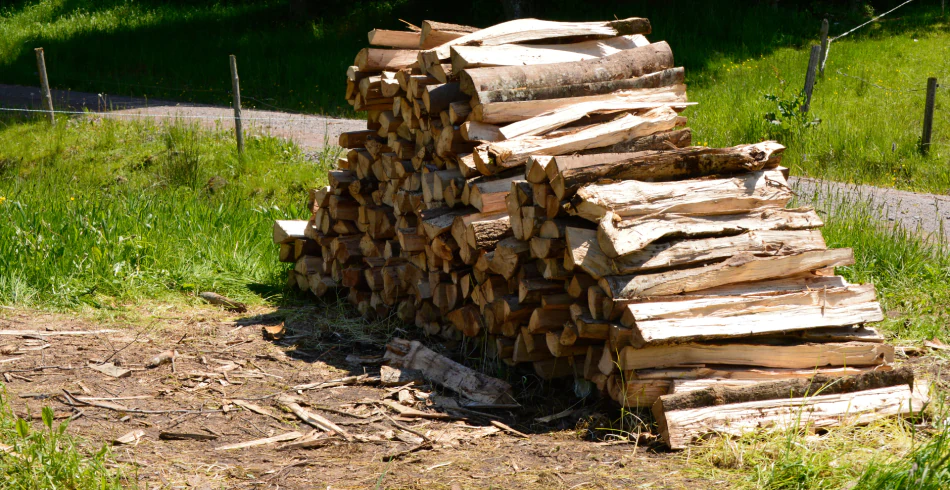 Firewood (1) Firewood (1)